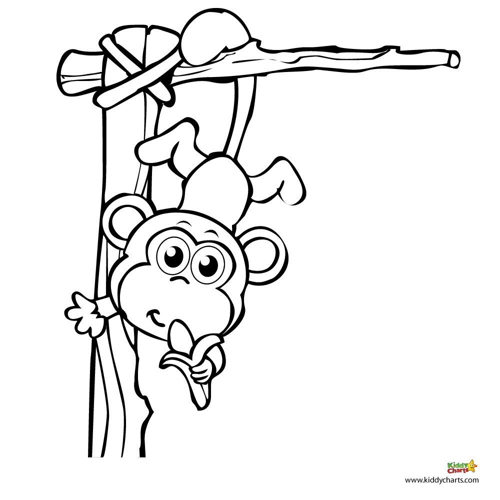 Monkey coloring pages A monkey for your monkey
