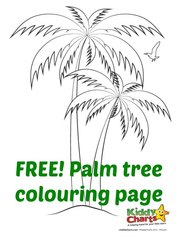 palm tree beach coloring pages - photo #31