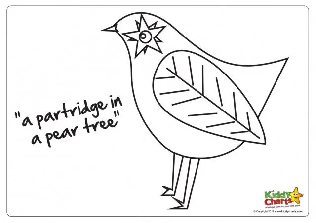 A bird is illustrated in a detailed line art drawing, sketching a partridge in a pear tree.