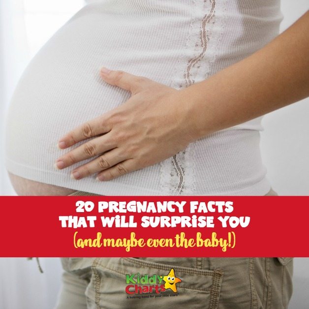 Many women are curious on how pregnancy gives effects to them, babies, families, and people around. Today I would like to share some pregnancy facts that will surprise you.