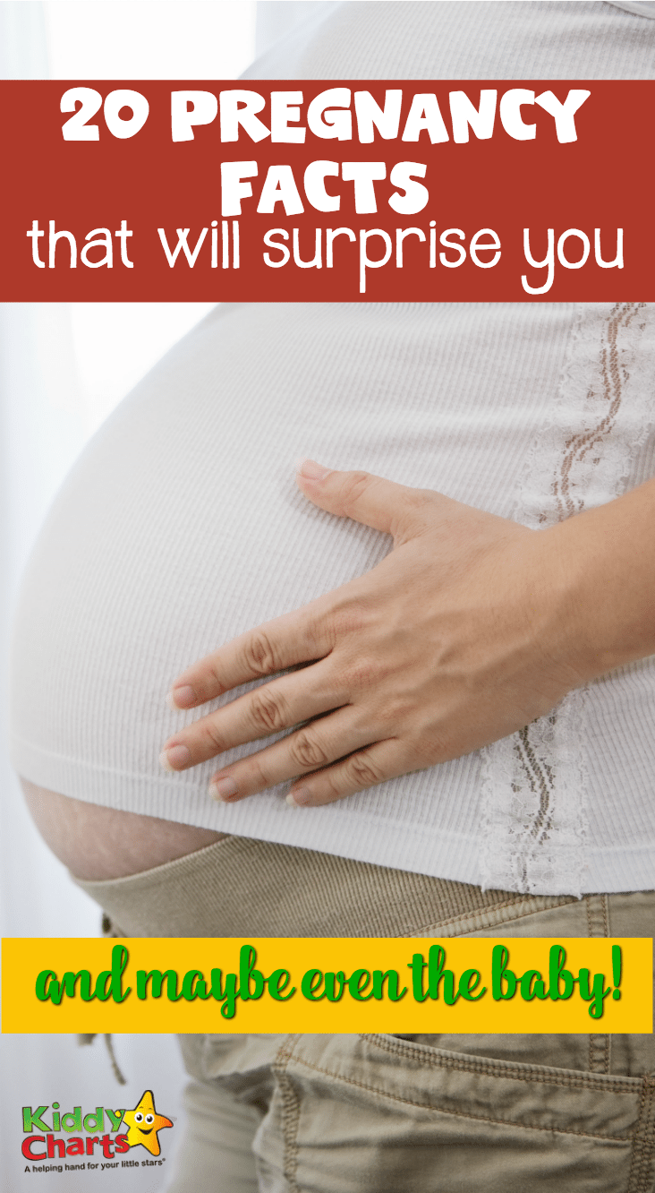 20 pregnancy facts that will surprise you (and maybe even the baby!)