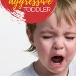 In the image, a parent is being given advice on how to handle an aggressive toddler from the website Kiddy Charts.