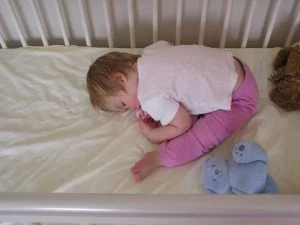 Believe it or not; Chatterbox is alseep!