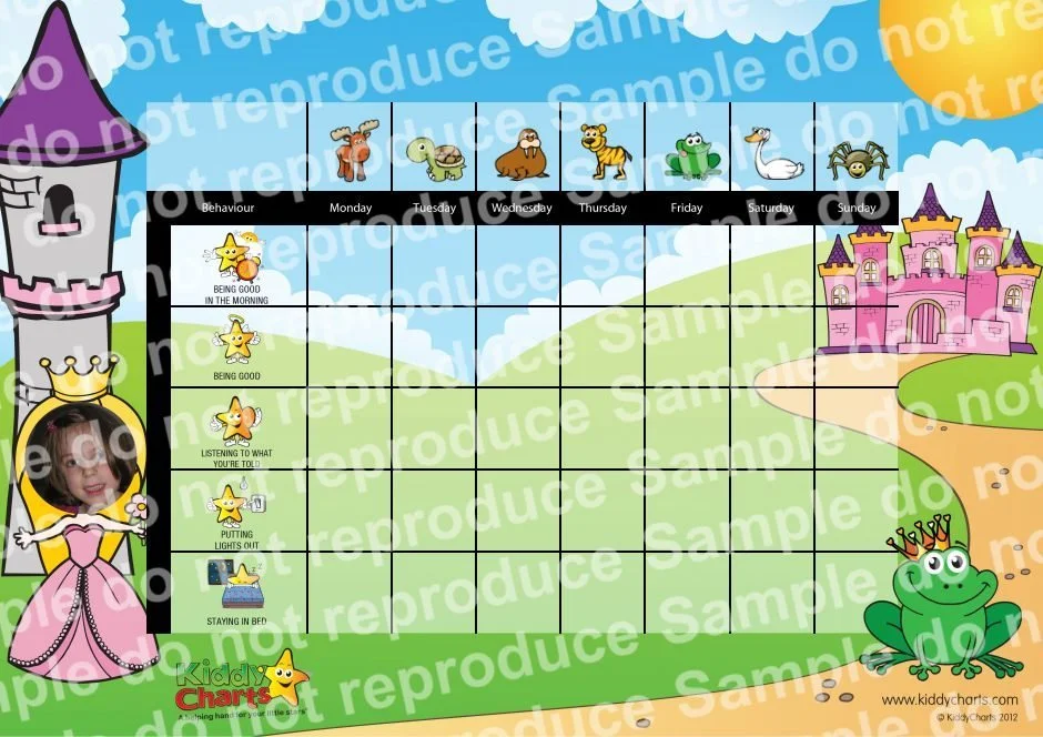 Behaviour Charts are in the Finals - Whoop, Whoop! Check out this Personalised Princess Reward Chart
