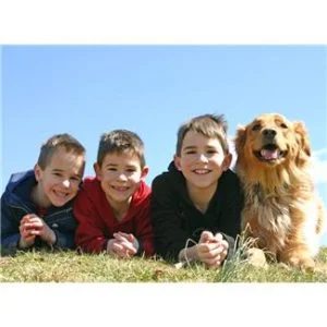 20 free things to do in the summer holidays - walking a friends dog