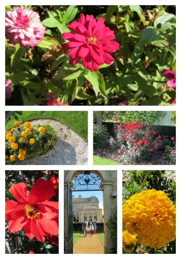 Wrest-Park-Admire-Flowers