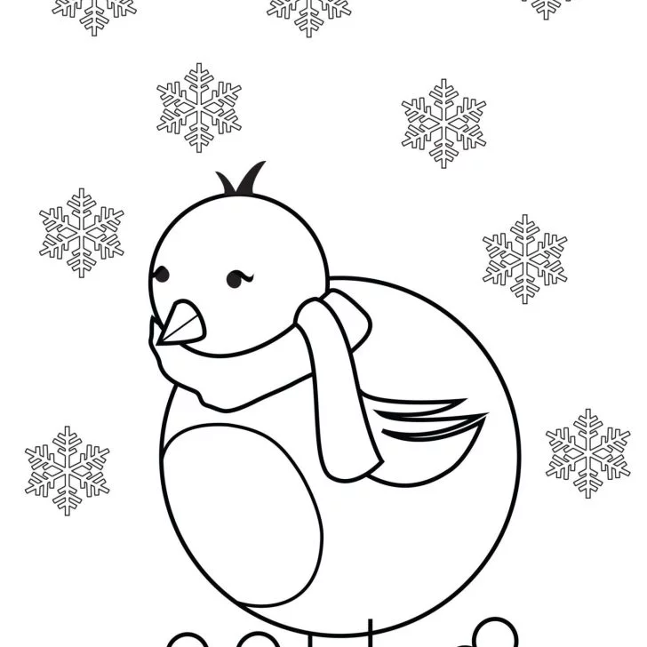 Robin Coloring Pages