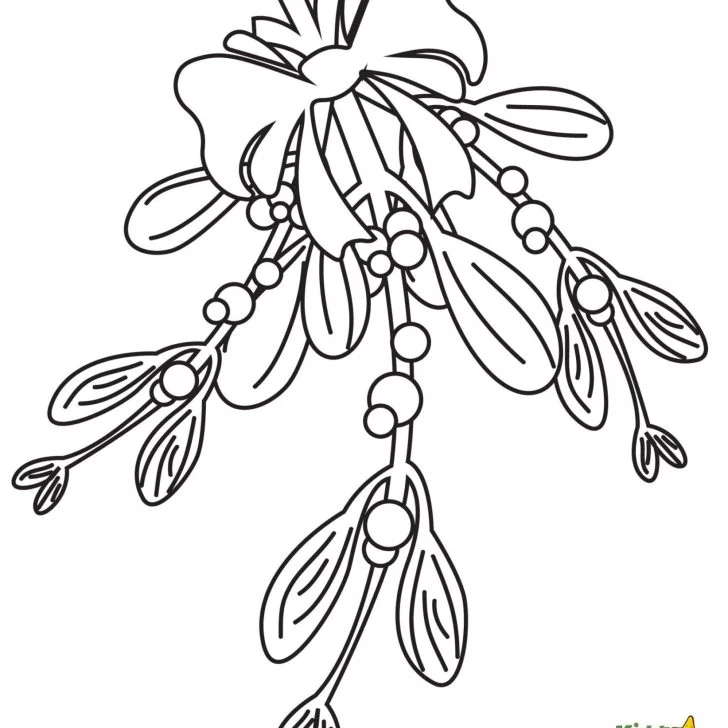 Mistletoe coloring pages