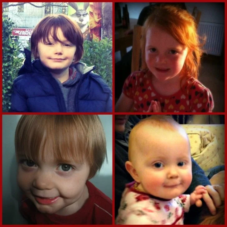 A collage displays various images.