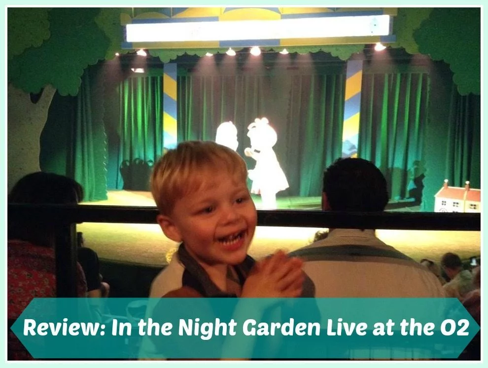 in the night garden