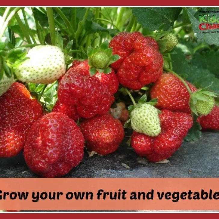 grow your own