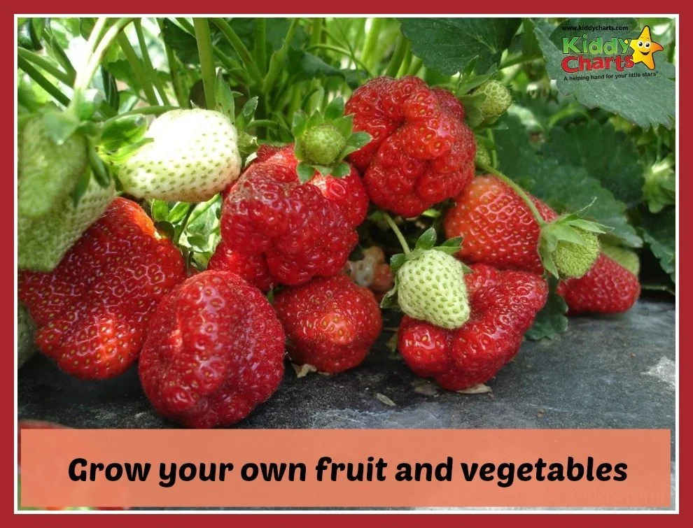 grow your own
