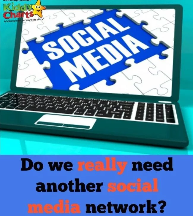 In this image, a question is being posed about the need for another social media network.