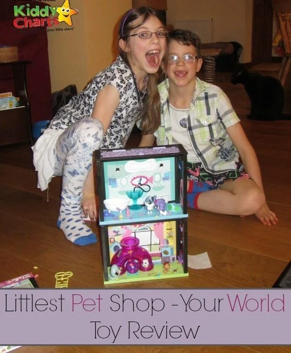 Are you wondering about boying the Little Pet Shop range of toys? What is LPS Your World? We give you the lowdown on the toys honestly on the blog