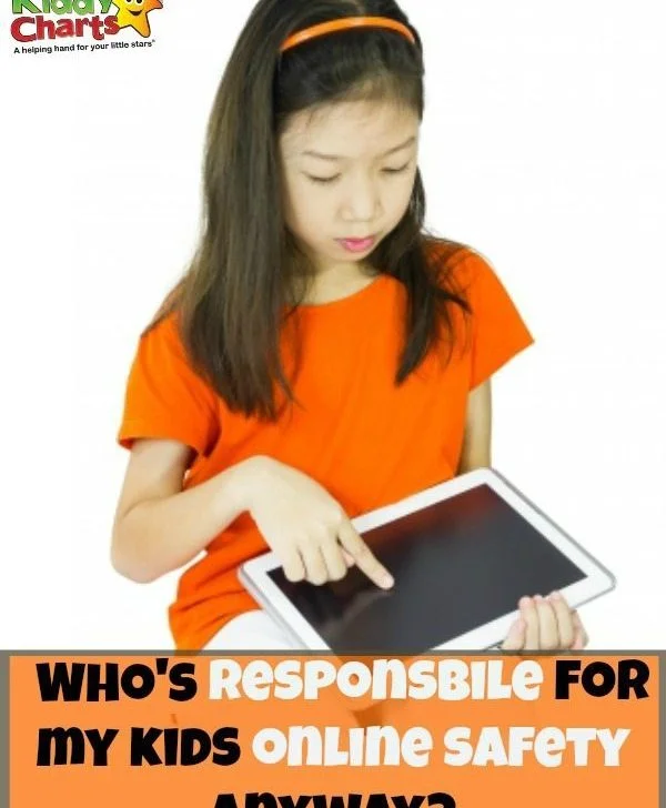 Just who should be responsible for kids online safety - shouldn't it everyone play a role in our kids eSafety?