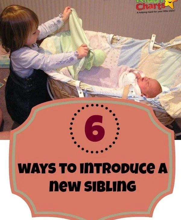 How can you help your child to feel OK when there is a new baby in the house - always a big challenge for parents of more than one child...here are some great ideas to help!