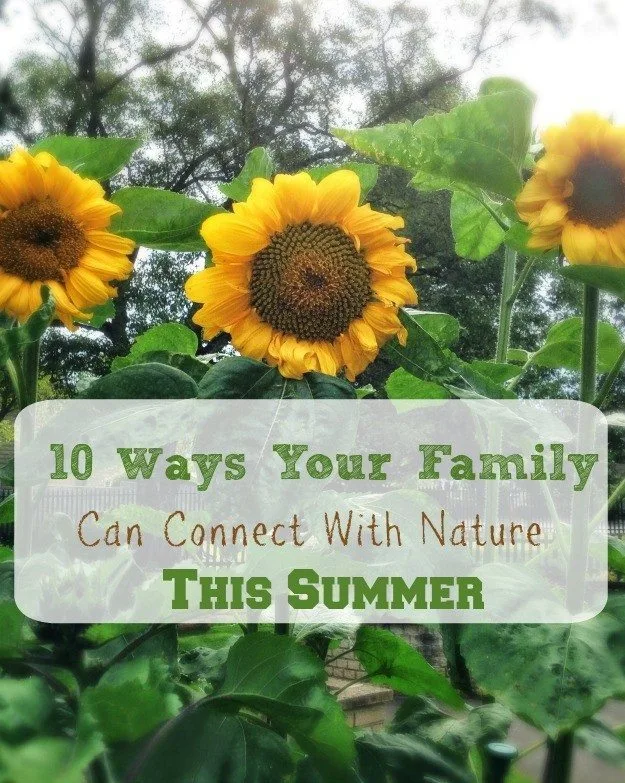 Get closure to nature this summer with our family friendly activities. This is an opportune time to get yourself prepped for a whole summer of fun outdoors.