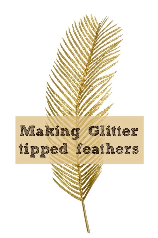 Kids love feathers, and they are so versatile - why not give them a bit of sparkle to ad to displays, dress up - anything. Feathers are perfect for kids - and glitter tipped feathers even better!
