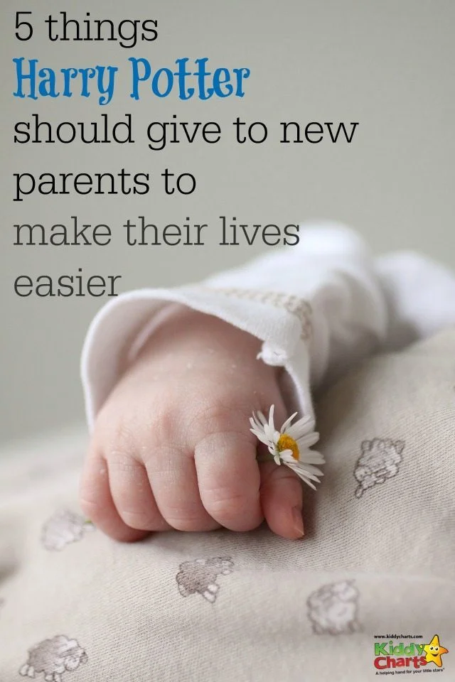 Harry Potter is one of my favourite books, but I bet you didn't know that the Harry Potter magical stuff would be so good at helping parents everywhere did you? Time Turners would be life savers, and so would some of the others. What would Harry Potter give to you to help?