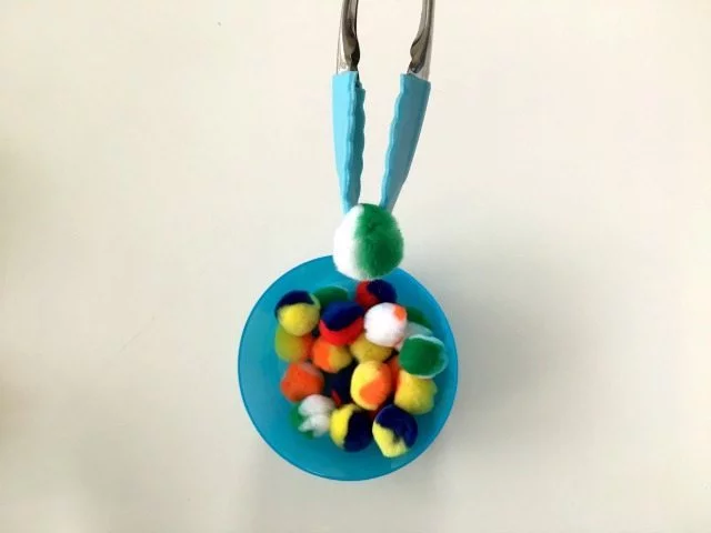 Pom Poms 1