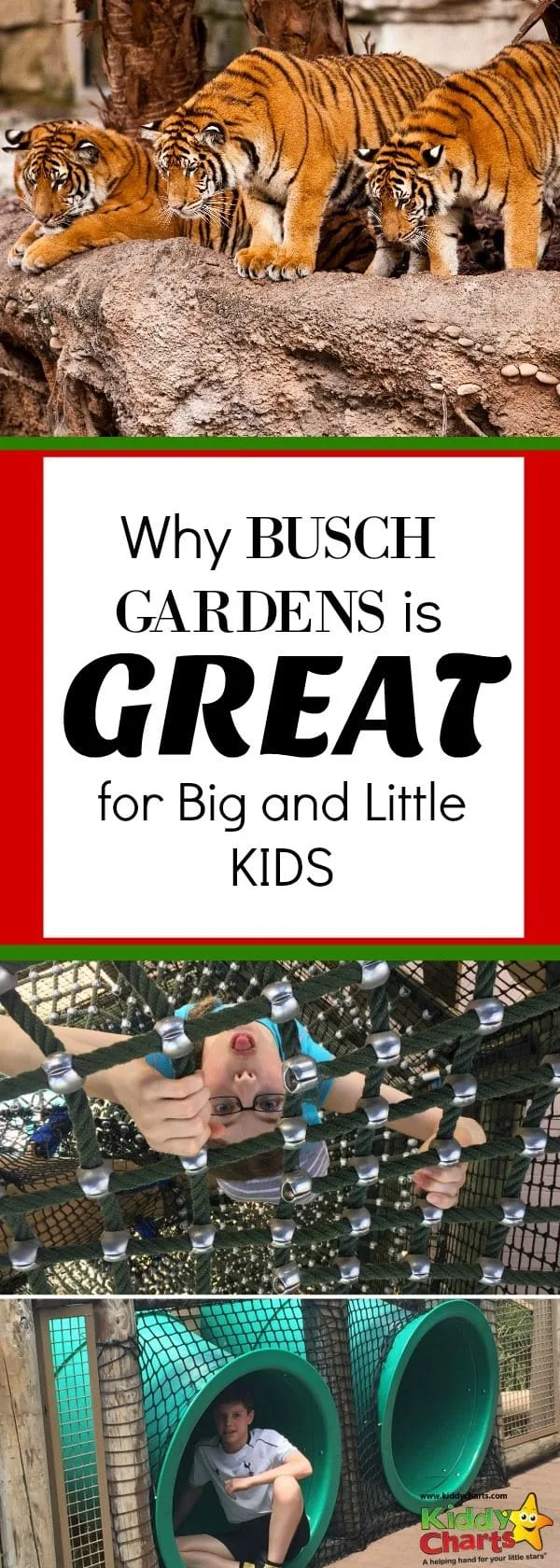 Busch Gardens Tampa is a perfect place to go, both for the big and little kids in the family - why not pop over to the site and find out why?