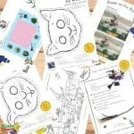 Printable Room on the Broom activities
