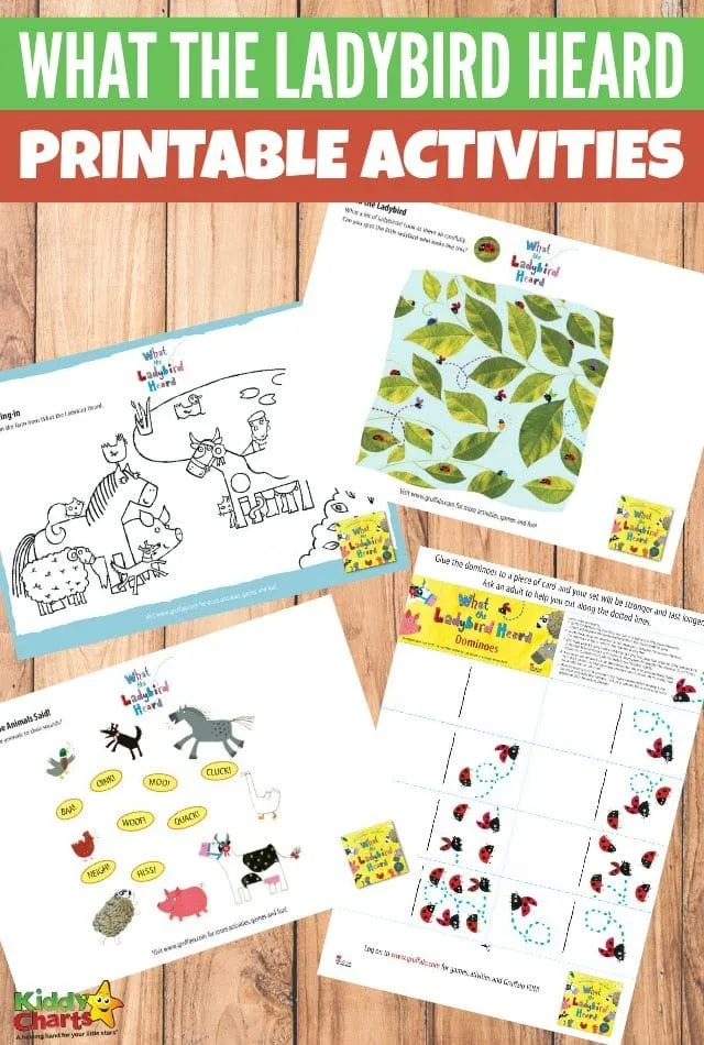 Printable What the Ladybird Heard Activities for Kids