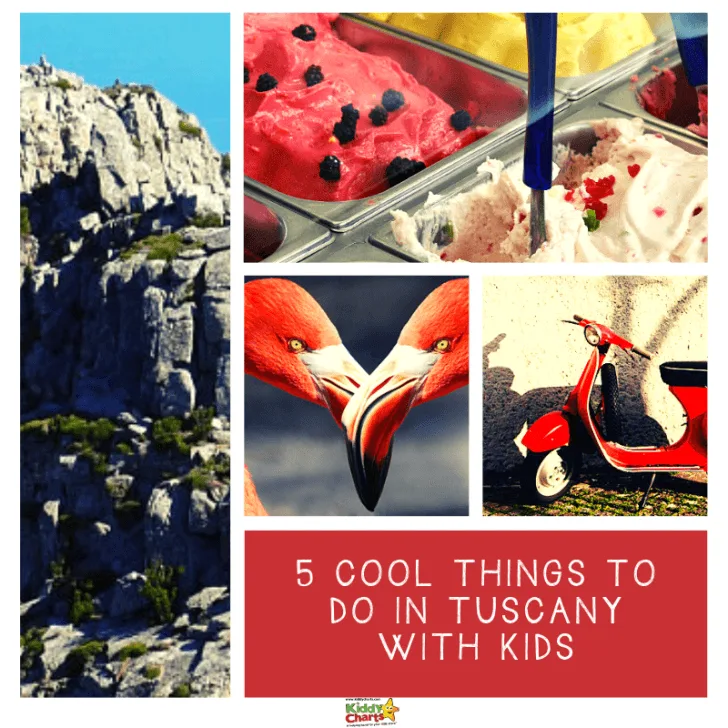 Families can explore the many attractions and activities that Tuscany has to offer with their kids.