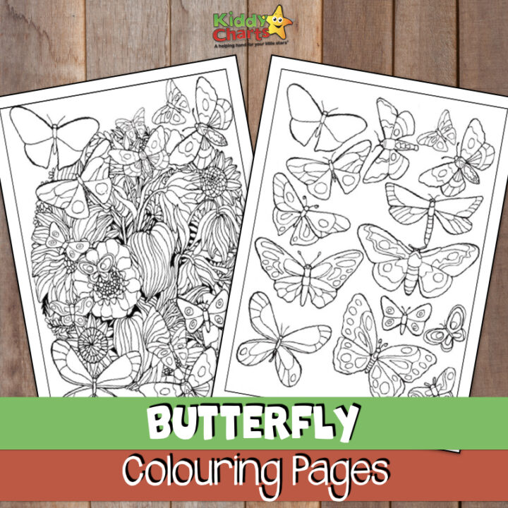 Butterfly coloring pages for kids and adults - come see them now! #coloring #adultcoloring #butterflies