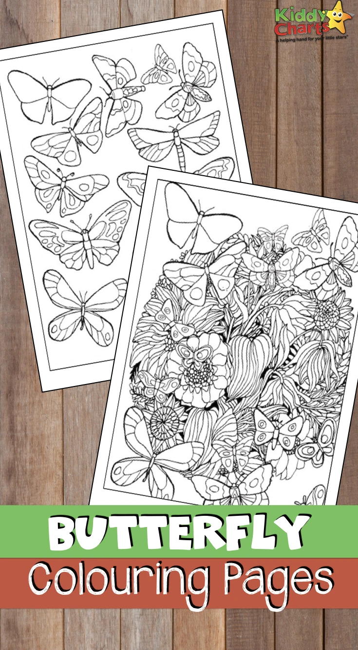 We've got these GORGEOUS butterfly coloring pages both for you and your kids. Go download them now! #coloring #butterfiles #kidscoloring #adultcoloring