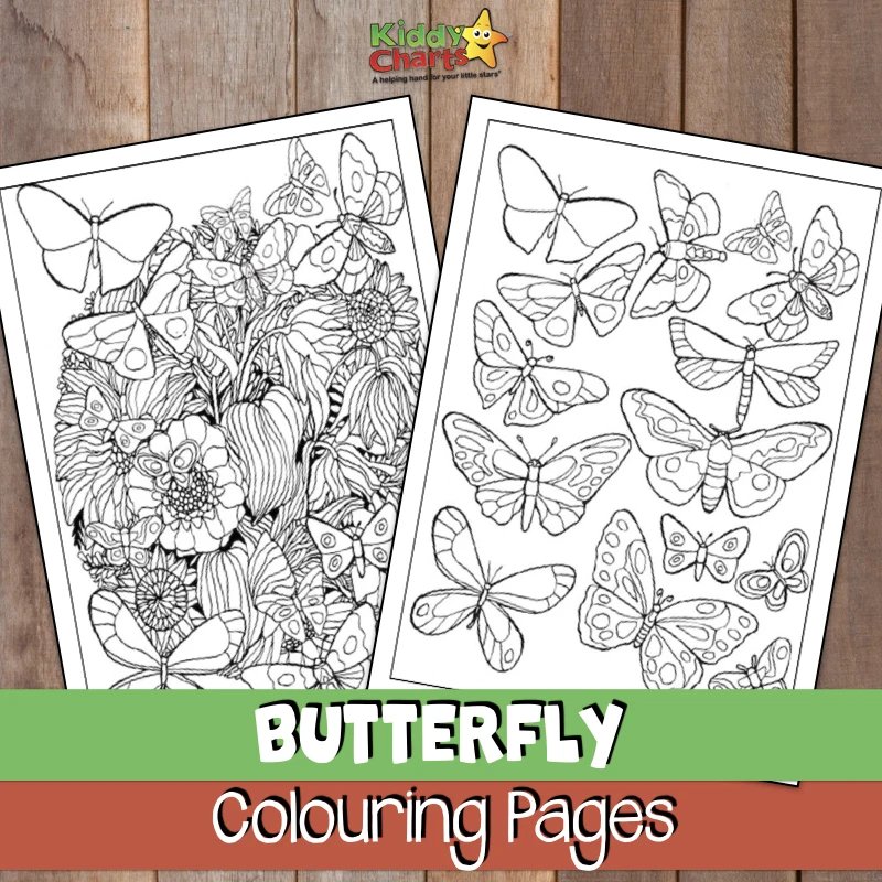 Butterfly coloring pages for adults.
