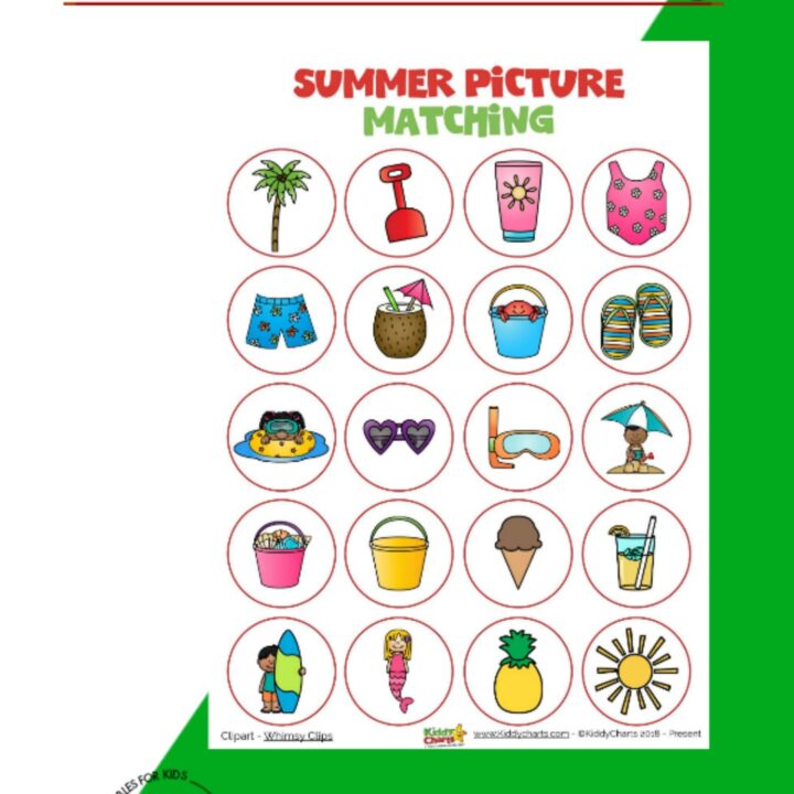 Summer matching picture game for the kids - why not check out the other activities on the site too! #printables #kids #summer