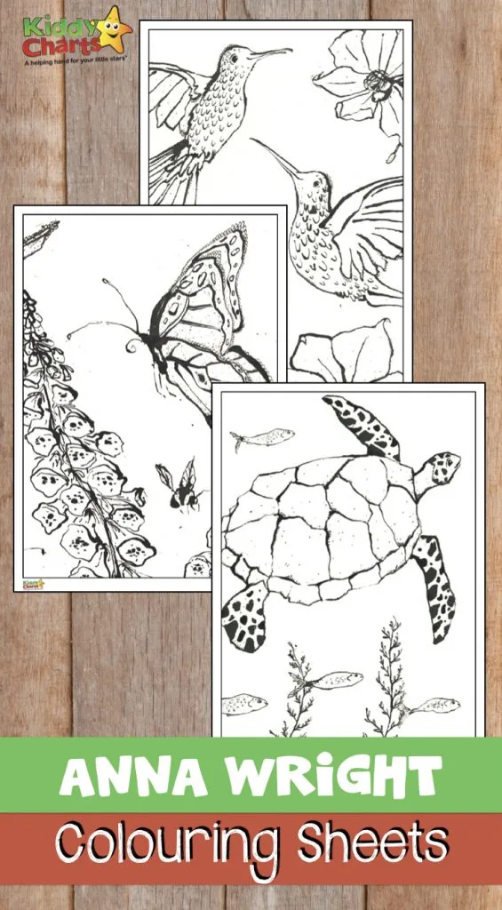 Anna Wright colouring sheets for adults