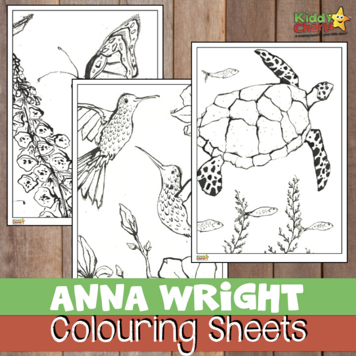Anna Wright is a gorgeous UK illustrator, and we have some colouring sheets from her, so you can give them as a gift. Pop along and check them out!