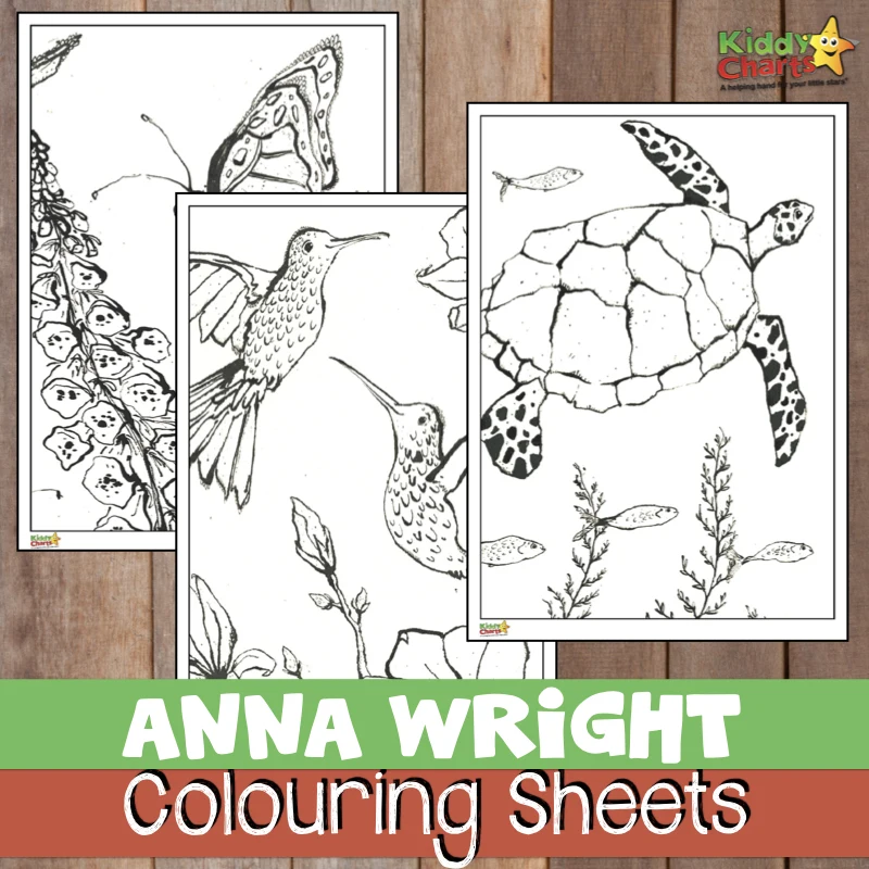 Anna Wright is a gorgeous UK illustrator, and we have some colouring sheets from her, so you can give them as a gift. Pop along and check them out!