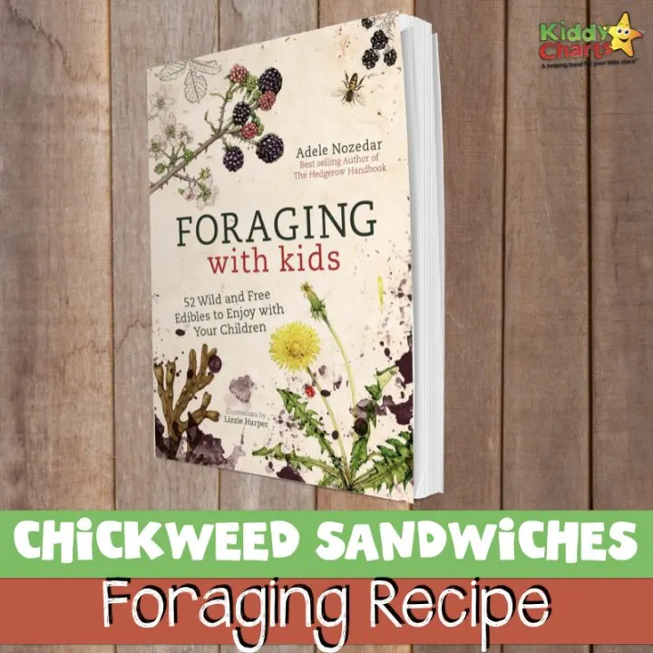 Why not check out our chickweed sandwiches recipe? #foraging #recipes #nature