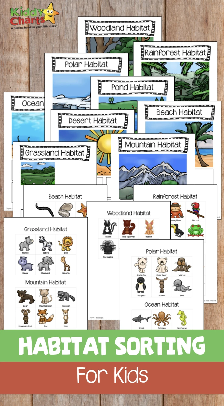 Animal habitats sorting game for kids: Free printable