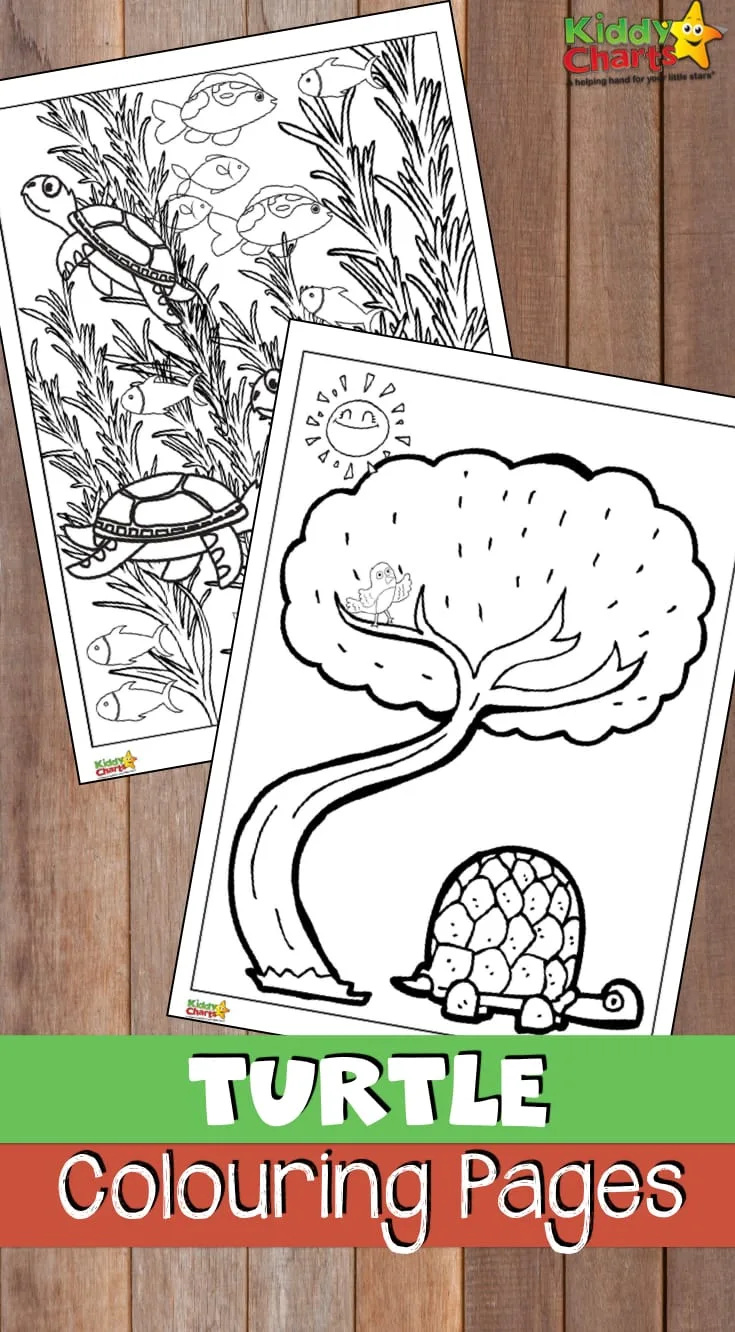Adult and kids turtle coloring pages #coloringpages #turtles #printables #kids