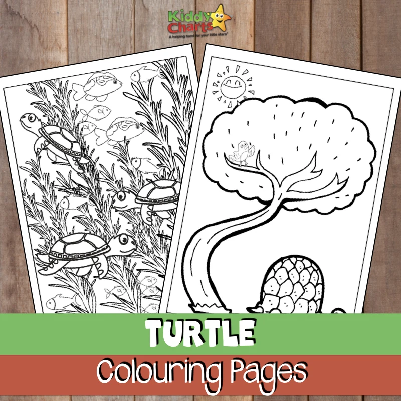Adult and kids turtle coloring pages #coloringpages #turtles #printables #kids