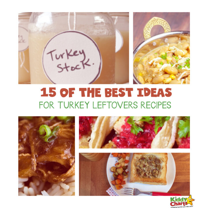 We have the BEST ideas for turkey leftovers on the site - why not go and take a look so you know exactly what to do bird at Xmas or Thanksgiving!