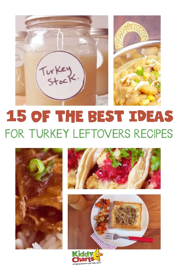 We have the BEST ideas for turkey leftovers on the site - why not go and take a look so you know exactly what to do bird at Xmas or Thanksgiving!