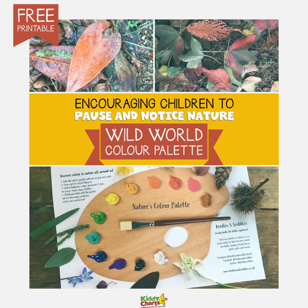 Looking for ways for your kids to connect with nature - we've got this great wild world color palette activity for them to have a go at, alongside reading the fabulous book Hedgehogs Don't Live in the City. Check it out NOW! #nature #kids #colorpalette #forestschool
