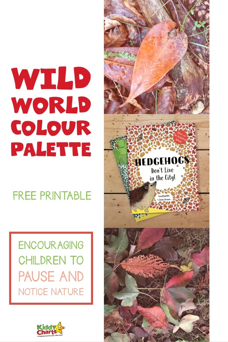 Looking for ways for your kids to connect with nature - we've got this great wild world color palette activity for them to have a go at, alongside reading the fabulous book Hedgehogs Don't Live in the City. Check it out NOW! #nature #kids #colorpalette #forestschool