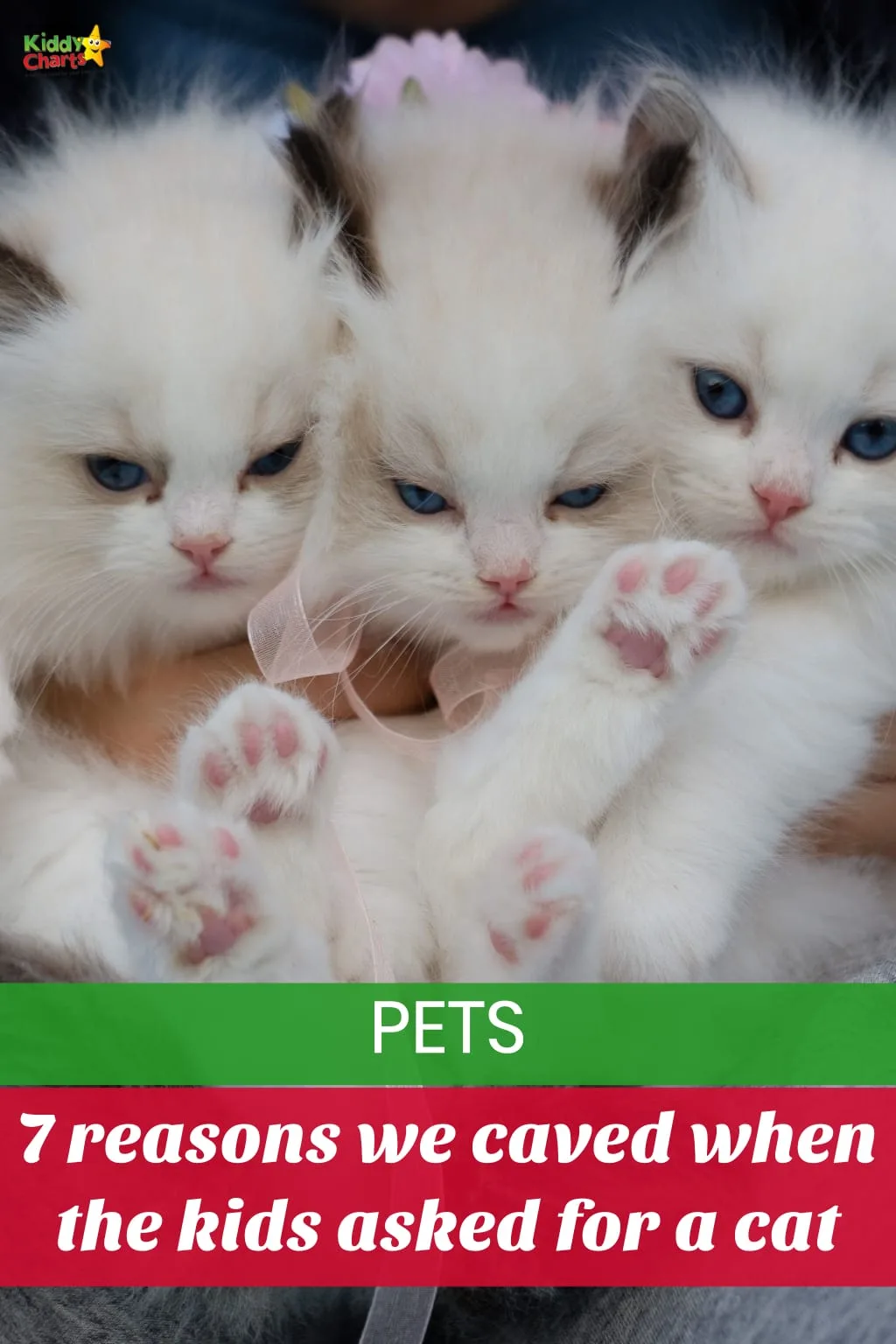 Looking to get a cat? We LOVE ours, and we've got 7 reasons why we won't ever regret it with our kids too. #cats #kids #pets #learning
