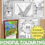 We have a gorgeous colouring book for you - 24 pages, and for the price of a coffee. £1 of which goes to Rethink, the mental health charity. Come on over and take a look! #colouring #coloring #mindfullness #mindful #printables #kids #children #animals #wildanimals #colouringbooks #coloringbooks