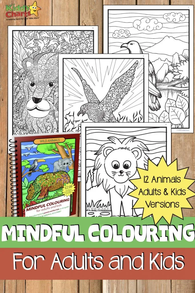 We have a gorgeous colouring book for you - 24 pages, and for the price of a coffee. £1 of which goes to Rethink, the mental health charity. Come on over and take a look! #colouring #coloring #mindfullness #mindful #printables #kids #children #animals #wildanimals #colouringbooks #coloringbooks