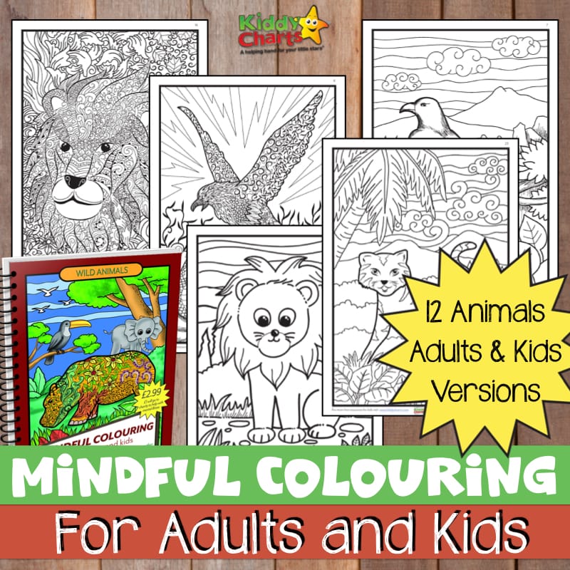 We have a gorgeous colouring book for you - 24 pages, and for the price of a coffee. £1 of which goes to Rethink, the mental health charity. Come on over and take a look! #colouring #coloring #mindfullness #mindful #printables #kids #children #animals #wildanimals #colouringbooks #coloringbooks