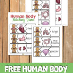 This image is showing a Human Body Matching Game, which is a game designed to help children learn about the different parts of the human body.