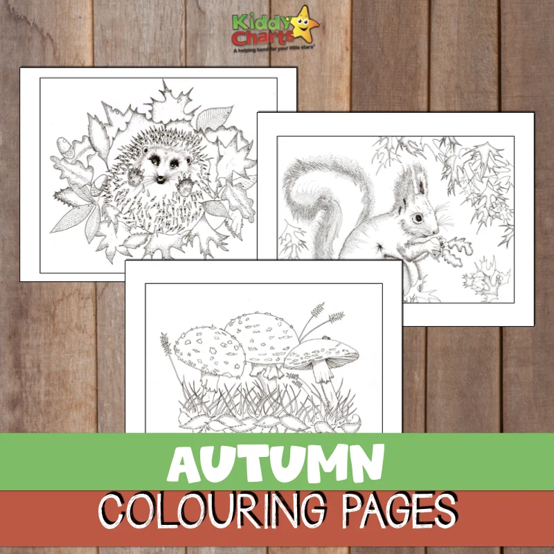 autumn coloring pages 
