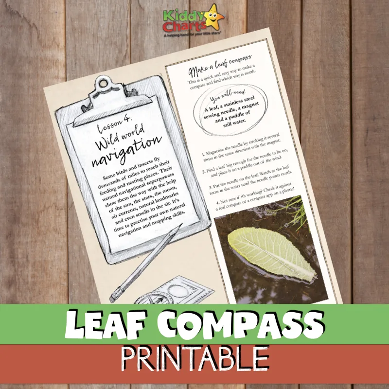 With this printable leaf compass, you’ll be able to experience the magic of these creatures as you use this printable leaf compass to guide the way. 